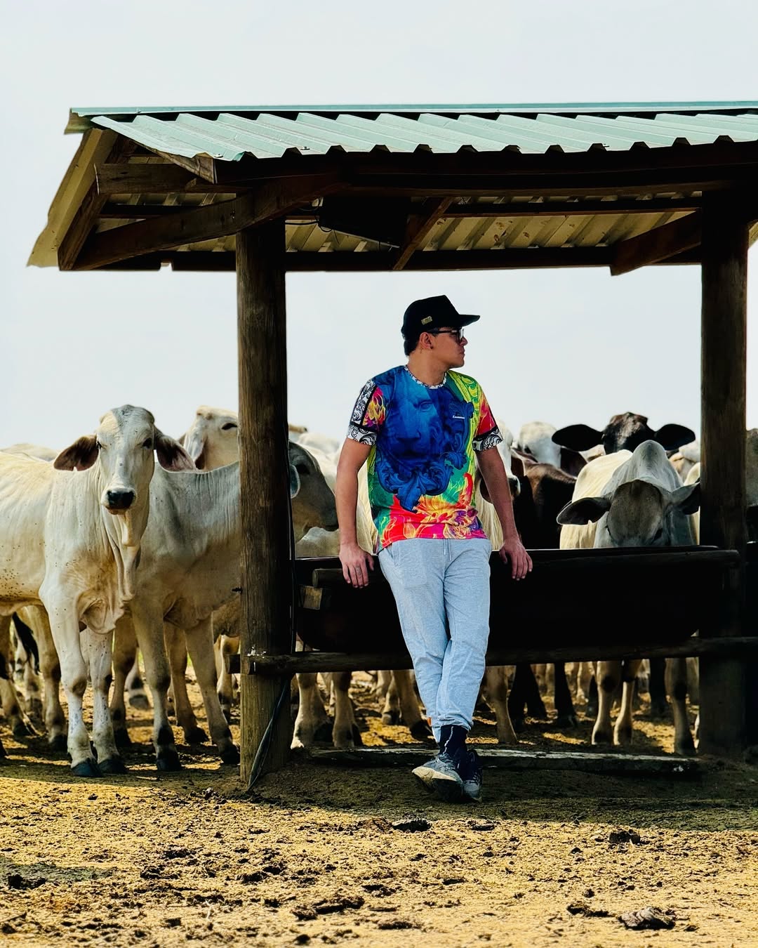 SaveClip.App_432183040_1545456802684187_5675860027939368860_n