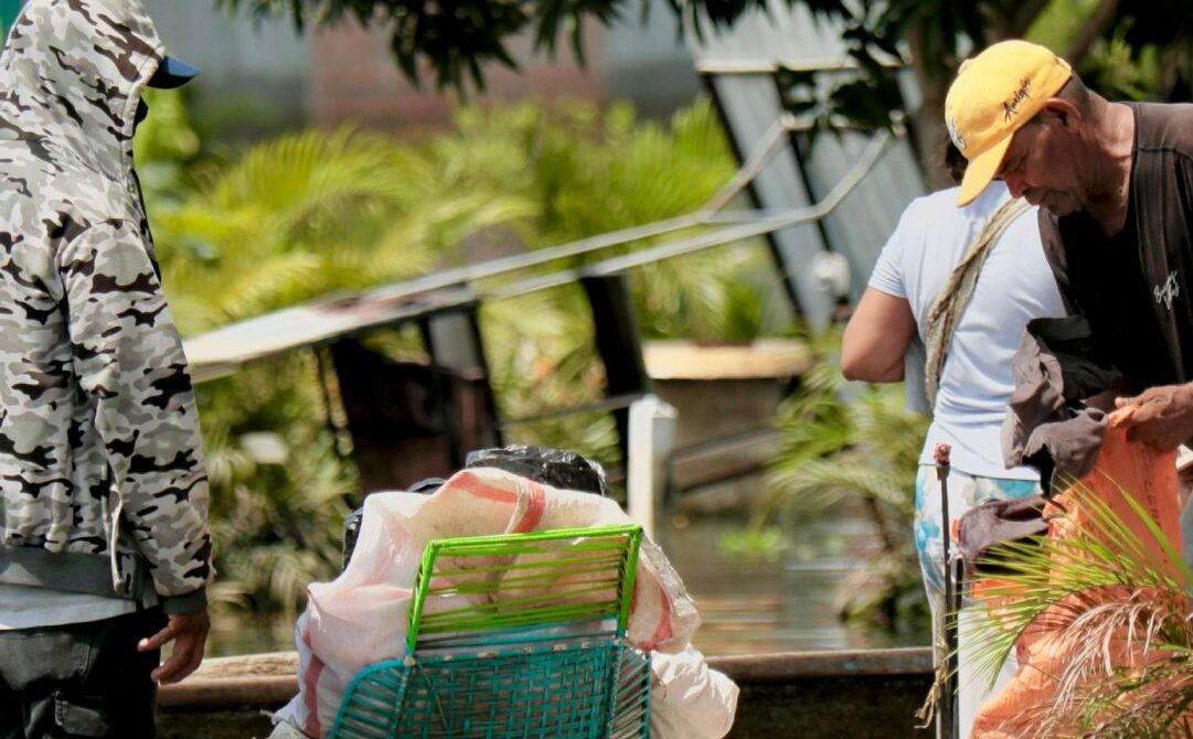 WhatsApp Image 2026-02-12 at 3.29.16 PM