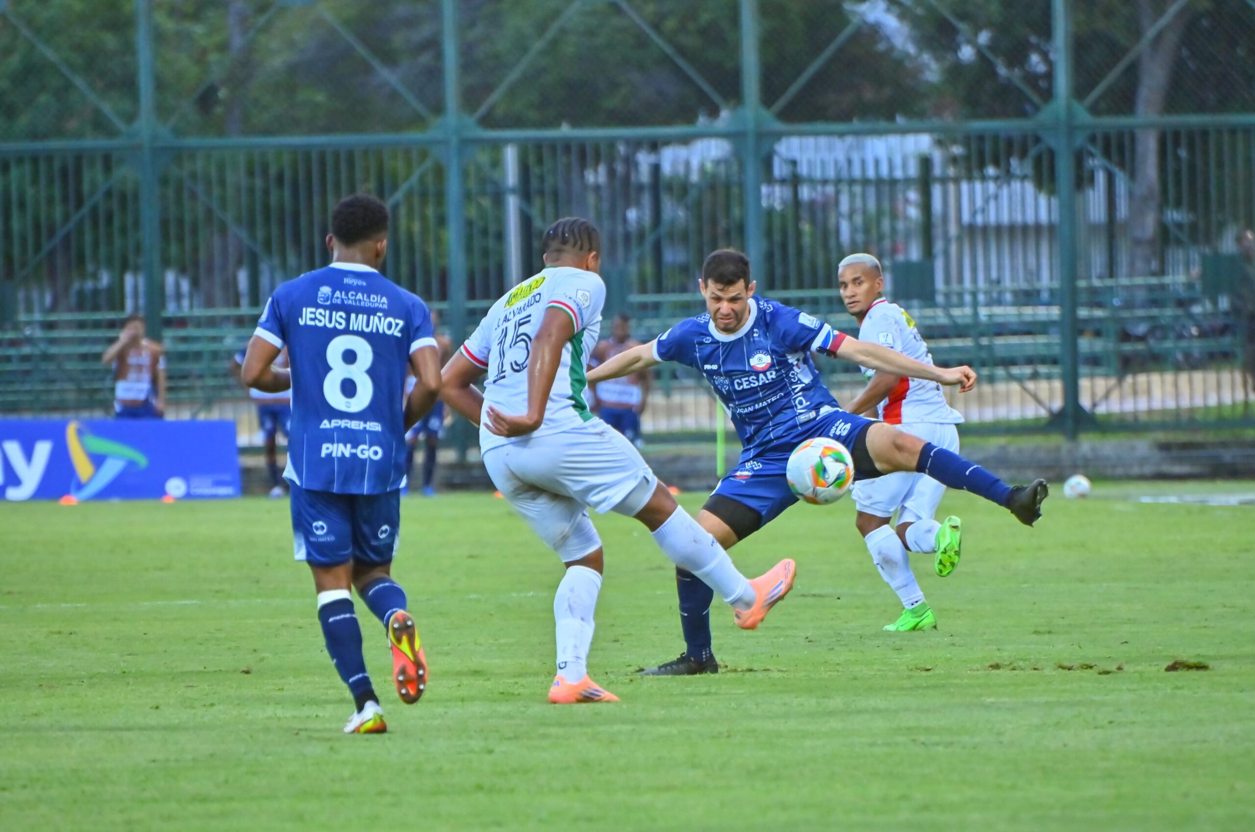 bd14eea7-1531-4113-9de9-8b2e47d5cccc