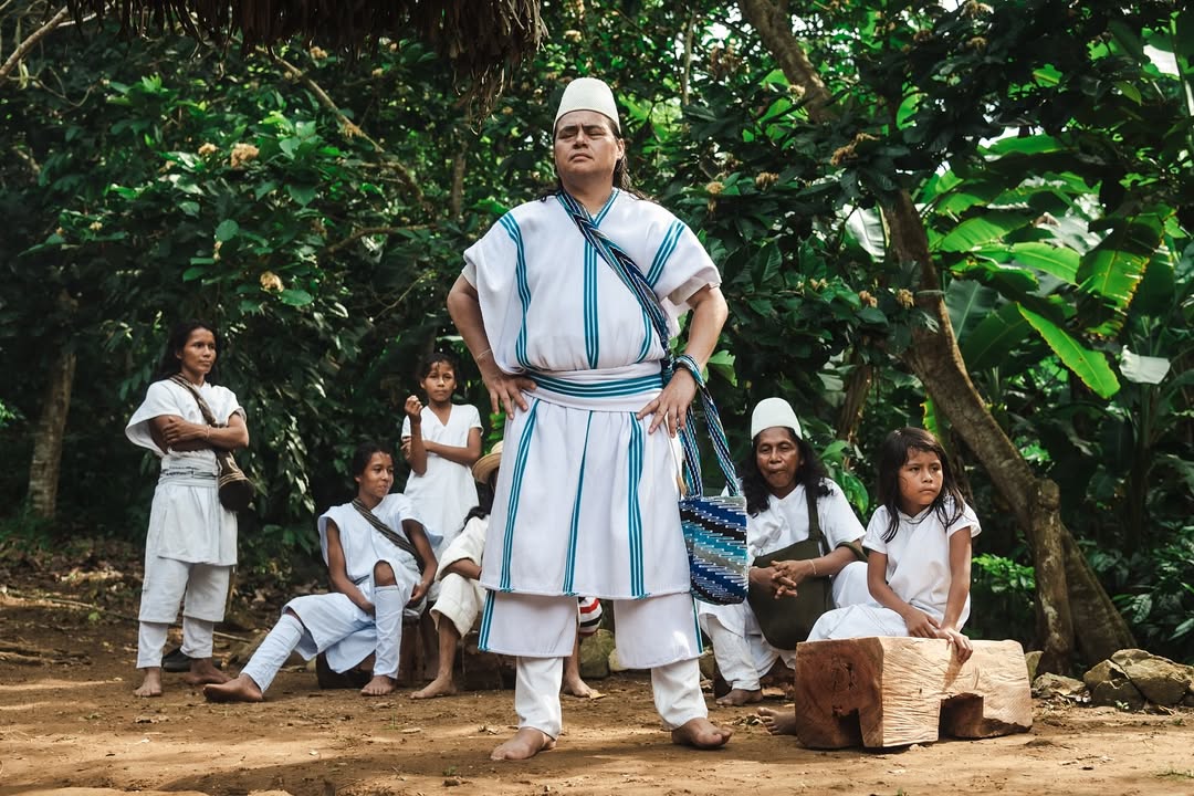 KANDIMAKU CONCEJO BOGOTÁ (3)