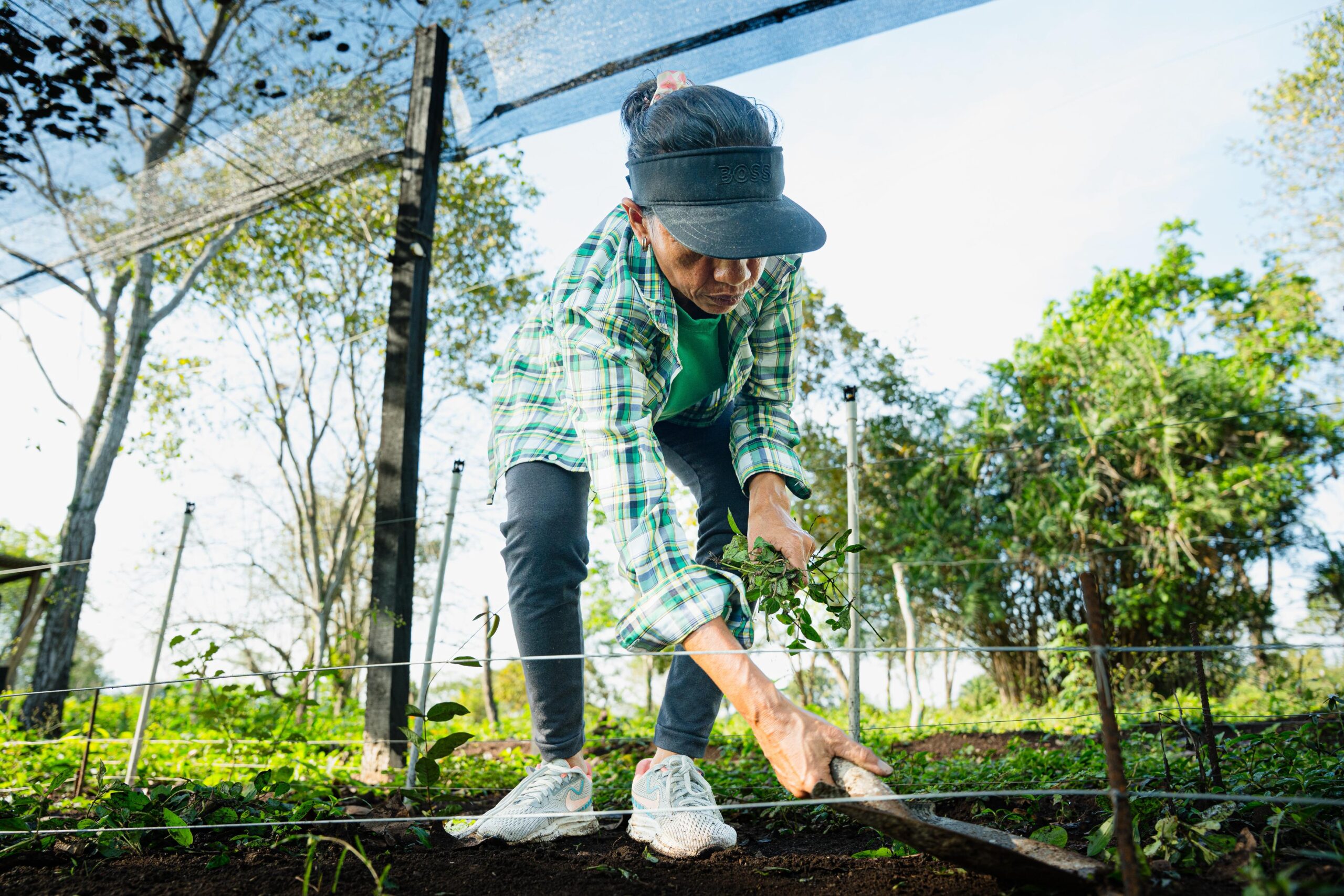 WhatsApp Image 2026-03-17 at 3.50.13 PM