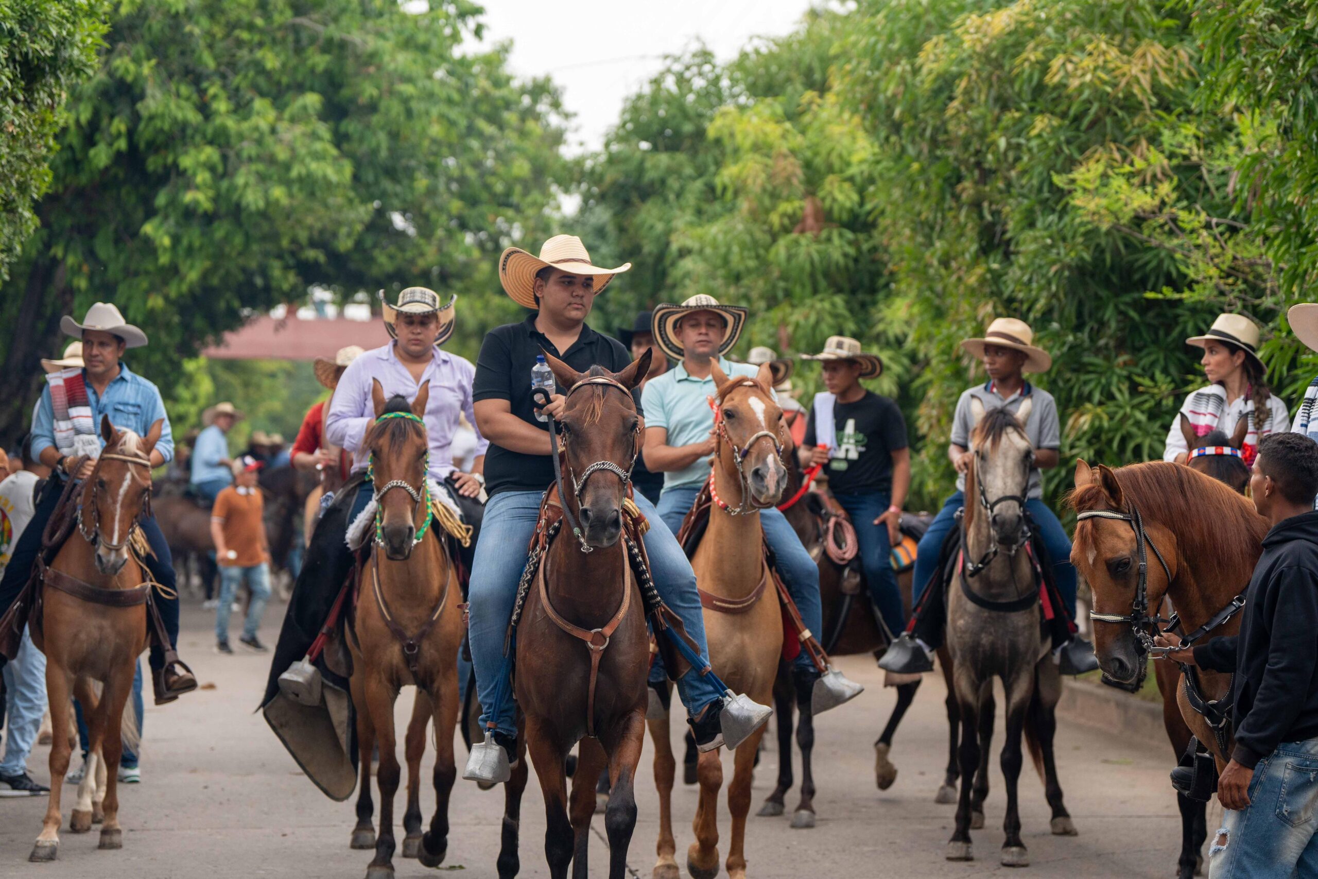 49996544-5ad5-4aea-8b0a-f708b38ae7a9