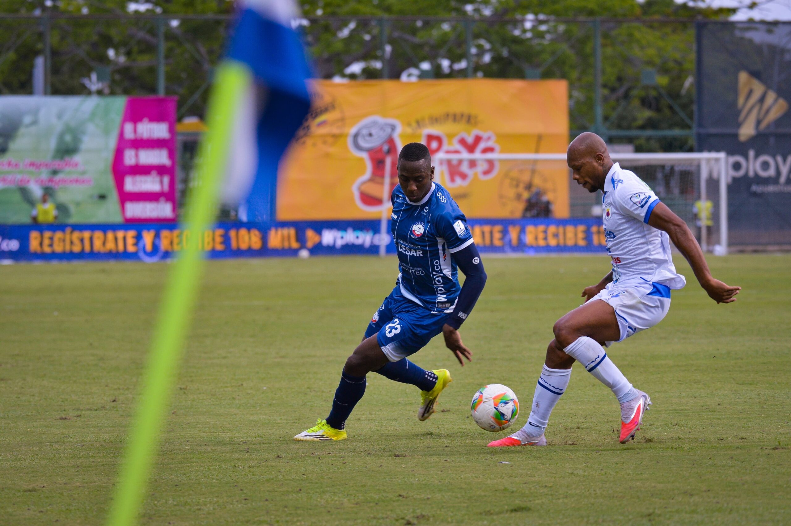 8393d7a8-3fd8-46af-90bd-fdb1d74f6486