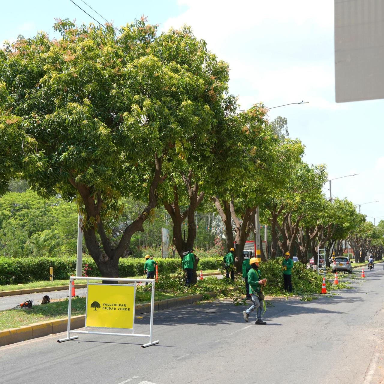 WhatsApp Image 2026-04-22 at 7.03.09 AM